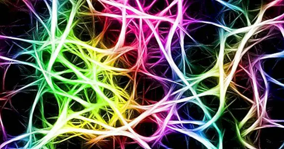 Lustrzane neurony i ich znaczenie w neuro-rehabilitacji