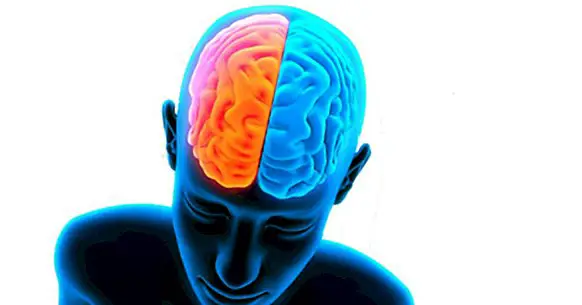 GABA (neurotransmiter): ono što je i što uloga igra u mozgu