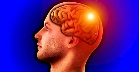 Parietal lobe: characteristics and functions