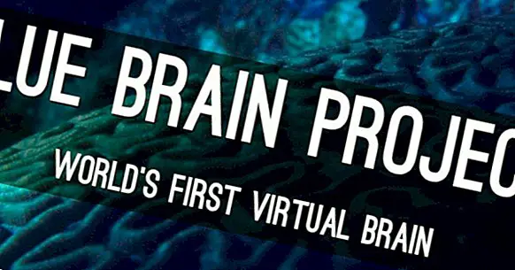 Blue Brain Project: gjenoppbygging av hjernen for å forstå det bedre