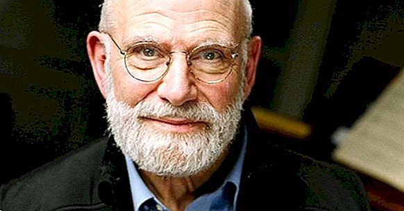 Décès d'Oliver Sacks, le neurologue à l'âme humaniste