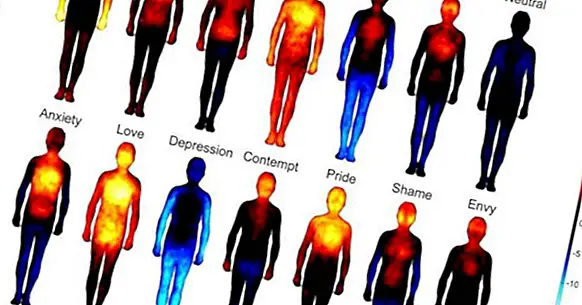 Открийте картата на емоциите на тялото
