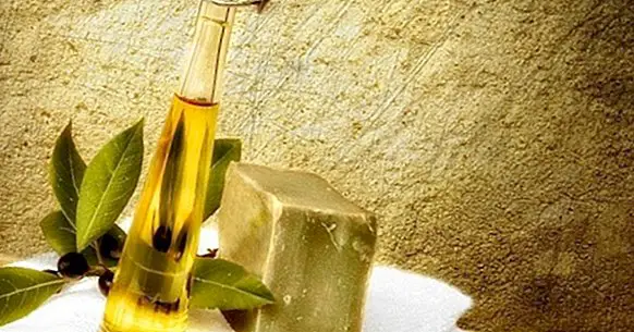 13 Vorteile und Eigenschaften von Olivenöl