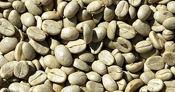 16 οφέλη και ιδιότητες του πράσινου καφέ
