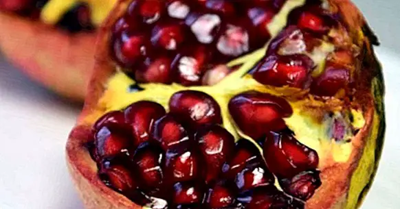 Pomegranate: 10 properties and benefits of this healthy fruit