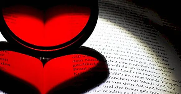 Kærlighed og forelskelse: 7 overraskende undersøgelser