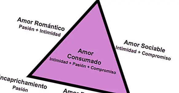 The triangular theory of love of Sternberg