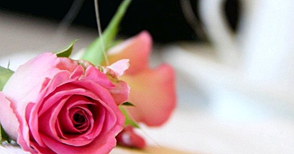 12 fantastiske gaver til dit par (specielle Valentine)