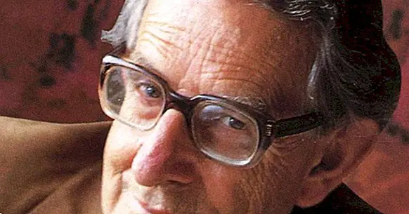 Eysencks Persönlichkeitstheorie: das PEN-Modell