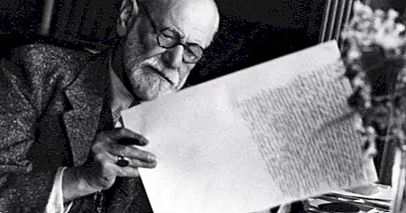 The theory of the personality of Sigmund Freud