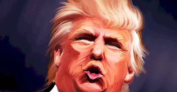 De persoonlijkheid van Donald Trump, in 15 eigenschappen