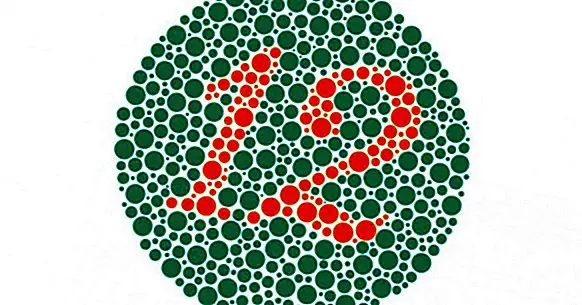 Color blindness: causes, symptoms, types and characteristics