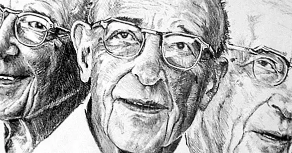 Client-Centered Therapy by Carl Rogers