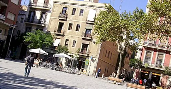 Os 7 melhores psicólogos de Gràcia (Barcelona)
