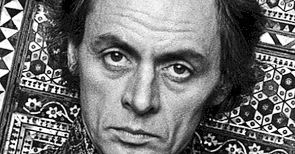 The theory of the limits of the madness of R. D. Laing