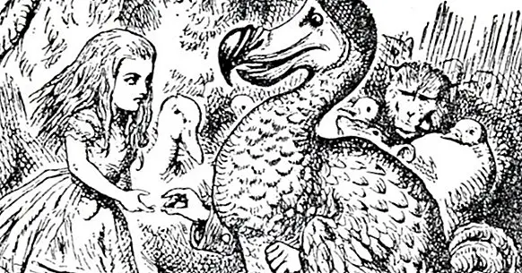 The Dodo verdict and the efficacy of psychotherapy