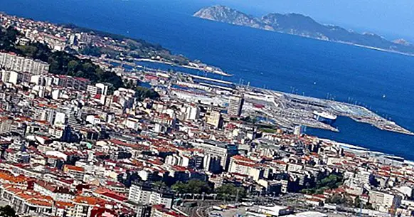 Die 10 besten Psychologen in Vigo