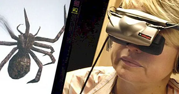 Den innovative Virtual Reality Therapy og dens applikationer