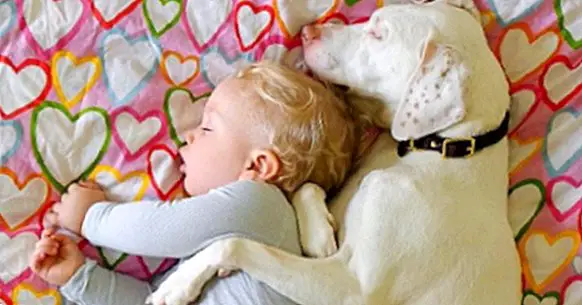 The dog that overcomes the mistreatment thanks to a baby