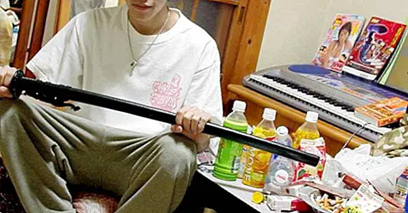 Hikikomori: unge fastlåst i deres rum