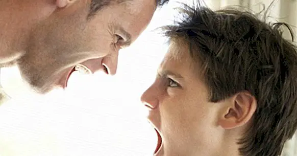 Filio-forældre vold: hvad det er og hvorfor det sker