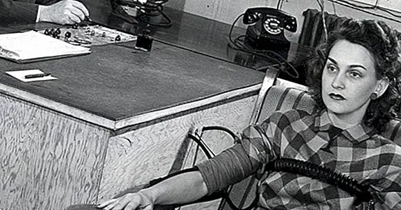 The polygraph: does the lie detector really work?