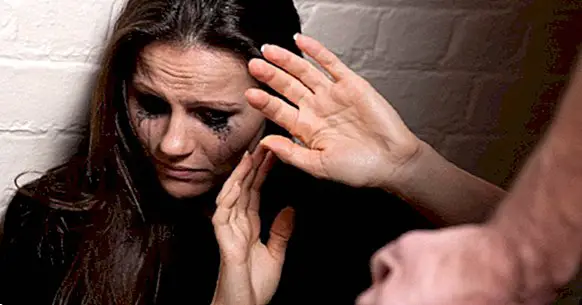 Profil nasilja protiv nasilja u obitelji, u 12 osobina