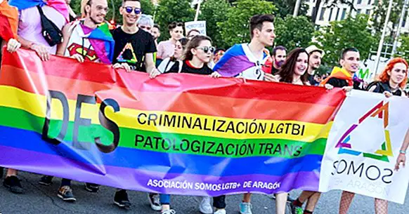 LGTBI movement: what is it, what is its history and what struggles does it group?