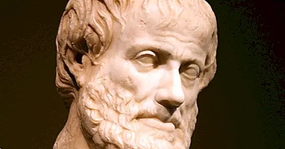 De 9 demokratiske regler foreslået af Aristoteles