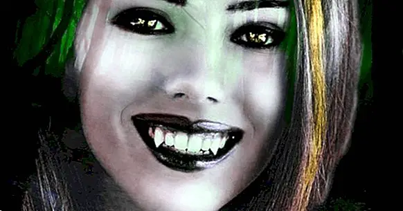 感情的な吸血鬼：感情的な幸福を奪う7人の人格