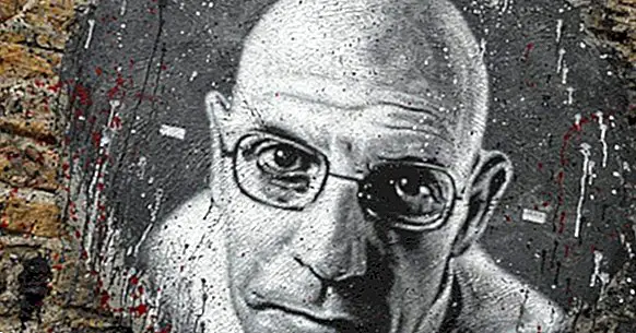 Foucault och Tragedy of Commons