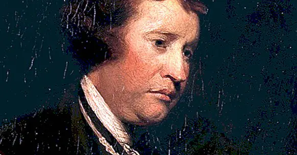 Die philosophische Theorie von Edmund Burke