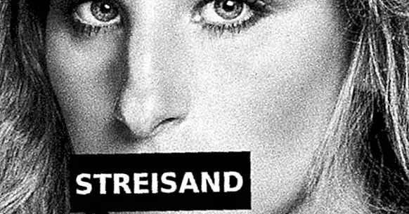Το φαινόμενο Streisand: προσπαθώντας να κρύψει κάτι δημιουργεί το αντίθετο αποτέλεσμα