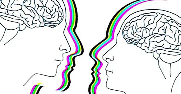 Theory of Mind: Hvad er det, og hvad fortæller det os selv?