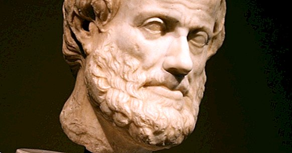 Теорията за знанието на Аристотел, в 4 клавиша
