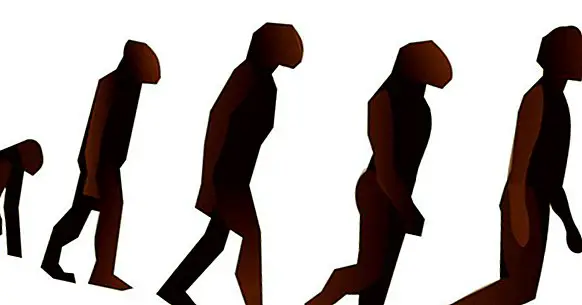 Atšķirības starp evolūcijas psiholoģiju un evolūcijas psiholoģiju