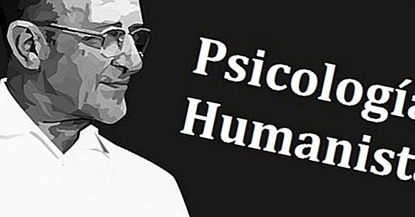 Humanistisk psykologi: historie, teori og grundlæggende principper