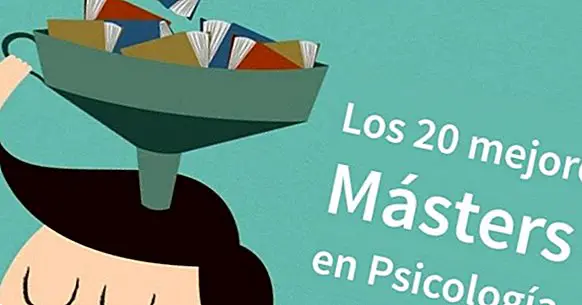 Les 20 meilleurs masters en psychologie