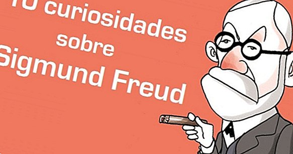 10 Kuriositäten über das Leben von Sigmund Freud