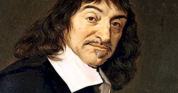 The valuable contributions of René Descartes to Psychology