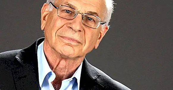 Teorie pohledů na Daniel Kahneman