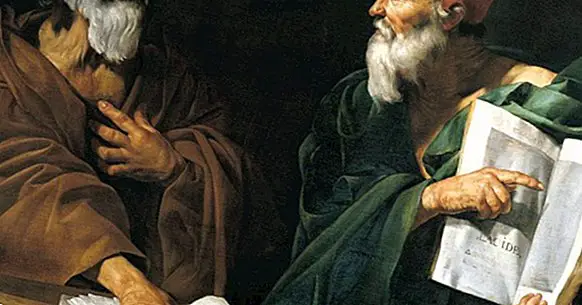 Os 8 ramos da filosofia (e seus principais pensadores)