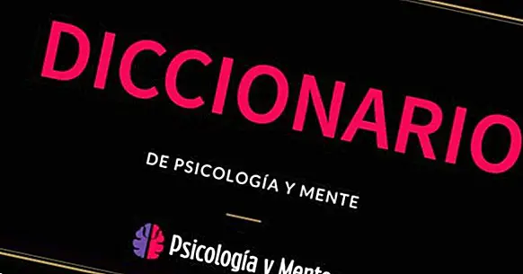 Dictionnaire de psychologie: 200 concepts fondamentaux