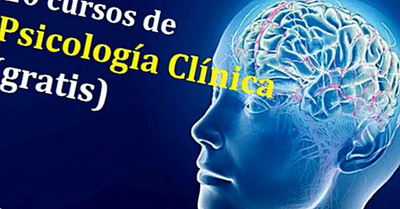 20 online cursussen over klinische psychologie (gratis)