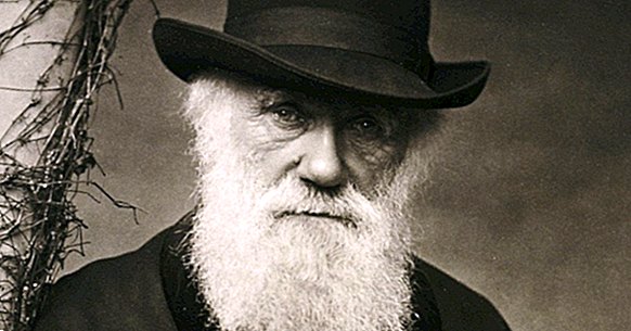 The influence of Darwin in Psychology, in 5 points