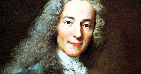 Die erkenntnistheoretische Theorie von Voltaire