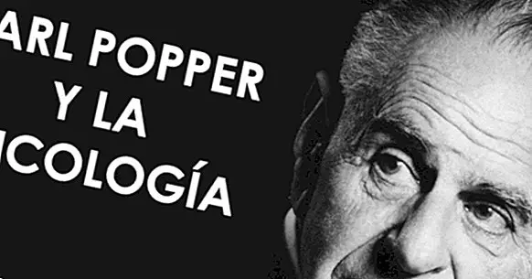 The philosophy of Karl Popper and psychological theories