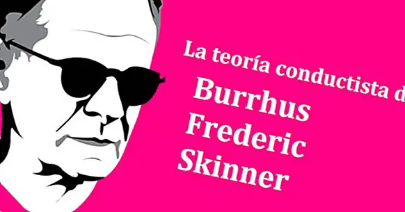 A teoria de B. F. Skinner e behaviorismo