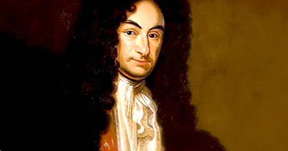 Die erkenntnistheoretische Theorie von Gottfried Leibniz