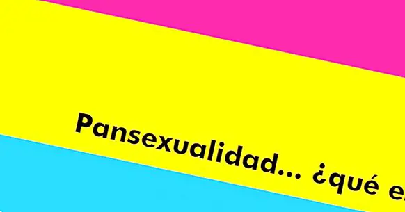 Пансексуалност: сексуална опция извън ролите на половете